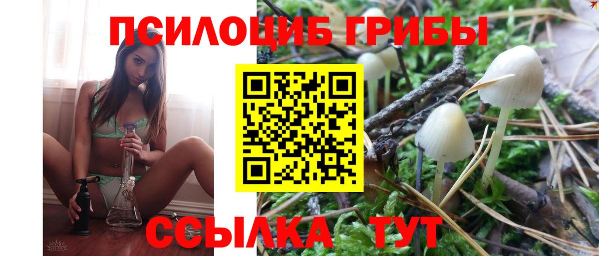 Балашов  Галлюциногенные грибы Psilocybe  дарнет шоп  Вход с VPN 